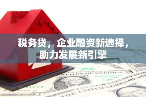 鹤城税务贷，企业融资新选择，助力发展新引擎