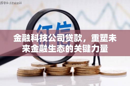 鹤城金融科技公司贷款，重塑未来金融生态的关键力量