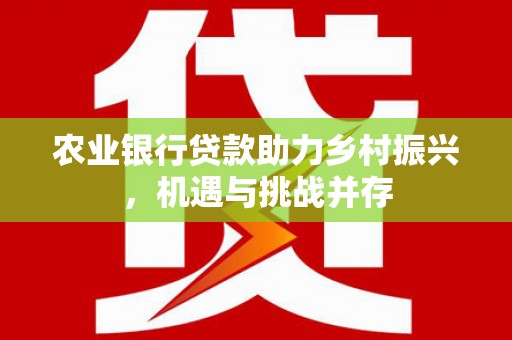 鹤城农业银行贷款助力乡村振兴，机遇与挑战并存