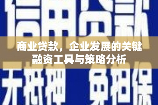 鹤城商业贷款，企业发展的关键融资工具与策略分析