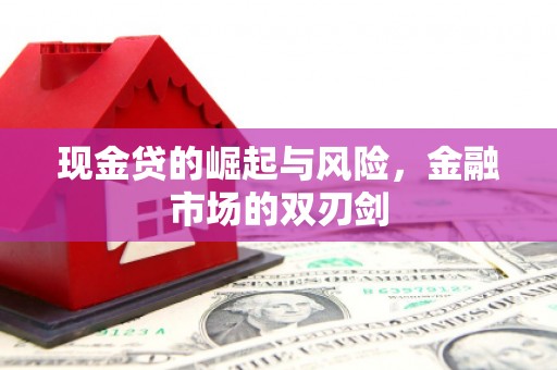 鹤城现金贷的崛起与风险，金融市场的双刃剑