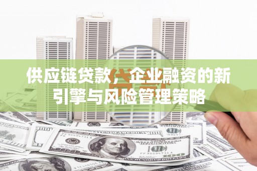 鹤城供应链贷款，企业融资的新引擎与风险管理策略