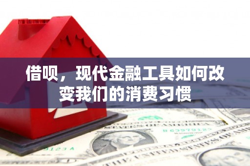 鹤城借呗，现代金融工具如何改变我们的消费习惯