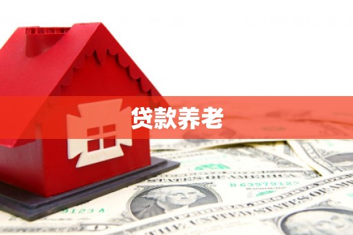 鹤城贷款养老