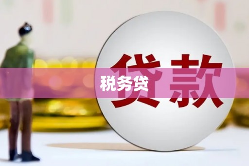 鹤城税务贷