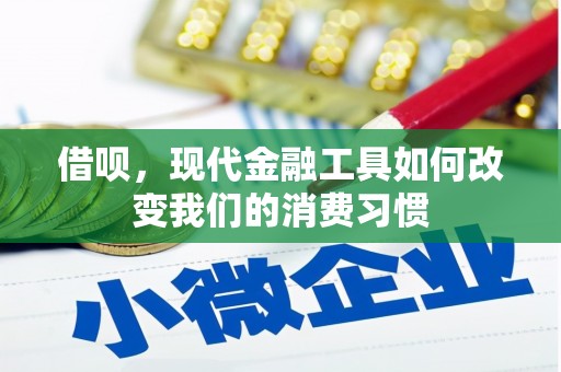 鹤城借呗，现代金融工具如何改变我们的消费习惯