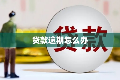鹤城贷款逾期怎么办