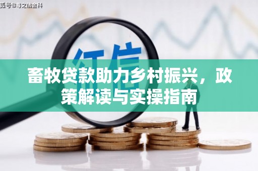 鹤城畜牧贷款助力乡村振兴，政策解读与实操指南