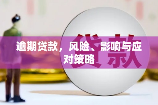 鹤城逾期贷款，风险、影响与应对策略