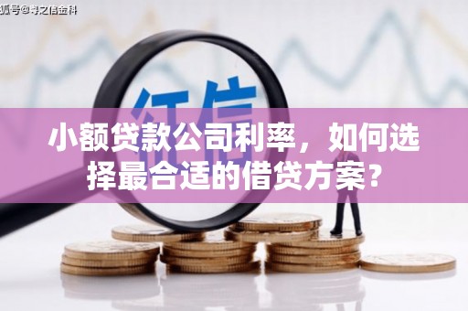 鹤城小额贷款公司利率，如何选择最合适的借贷方案？