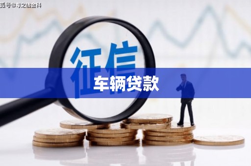 鹤城车辆贷款