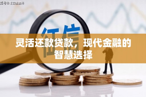 鹤城灵活还款贷款，现代金融的智慧选择