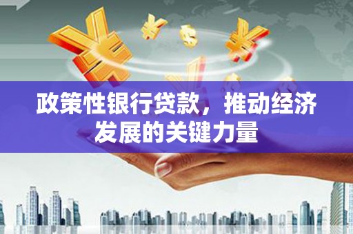 鹤城政策性银行贷款，推动经济发展的关键力量