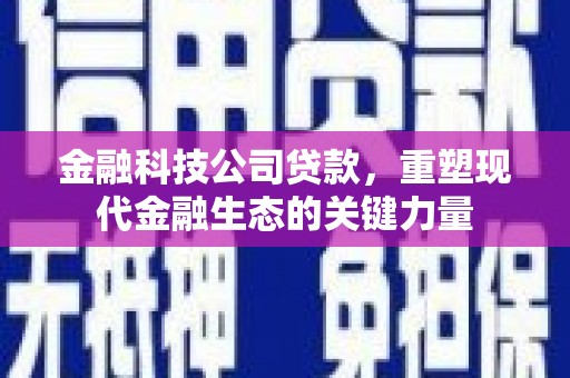 鹤城金融科技公司贷款，重塑现代金融生态的关键力量