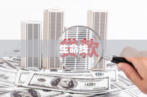 鹤城生命线