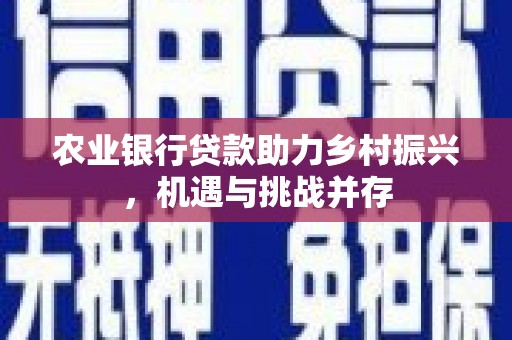 鹤城农业银行贷款助力乡村振兴，机遇与挑战并存