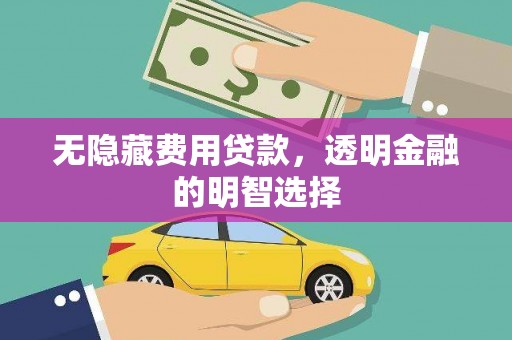 鹤城无隐藏费用贷款，透明金融的明智选择