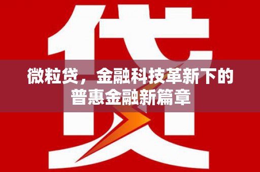 鹤城微粒贷，金融科技革新下的普惠金融新篇章