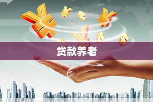 鹤城贷款养老