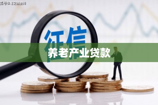 鹤城养老产业贷款