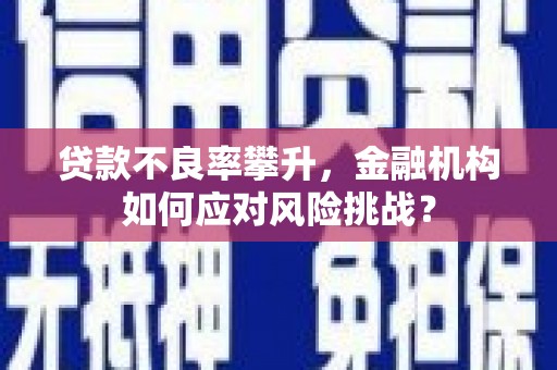 鹤城贷款不良率攀升，金融机构如何应对风险挑战？
