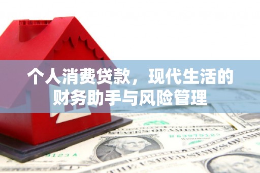 鹤城个人消费贷款，现代生活的财务助手与风险管理