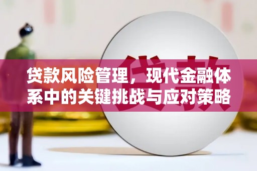 鹤城贷款风险管理，现代金融体系中的关键挑战与应对策略