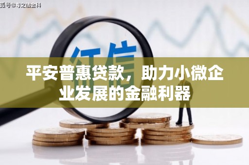 鹤城平安普惠贷款，助力小微企业发展的金融利器