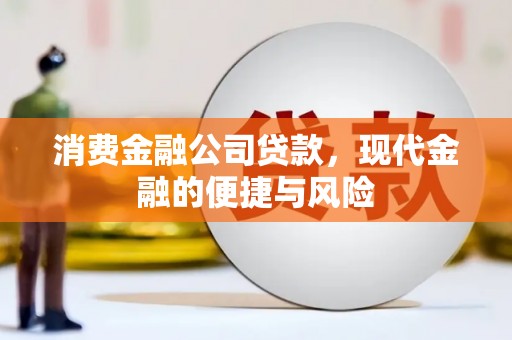 鹤城消费金融公司贷款，现代金融的便捷与风险